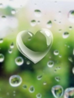 Heart Bubble