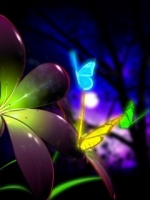Neon Butterflies